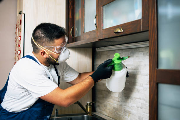 Best Mosquito Control Services  in Houston, MO