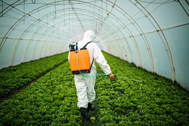 Best Best Pest Control Companies  in Houston, MO