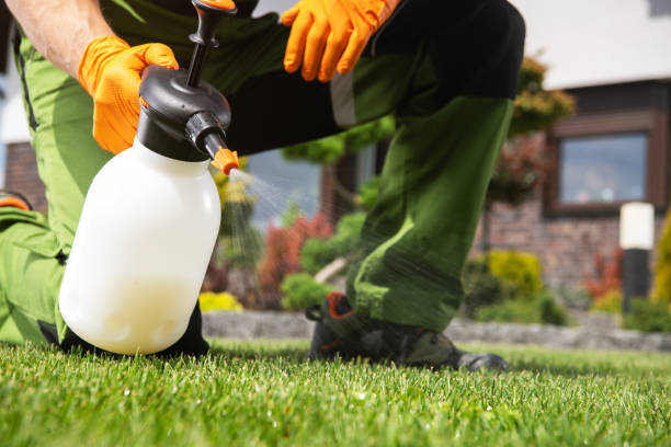 Best Rat Extermination Near Me  in Houston, MO