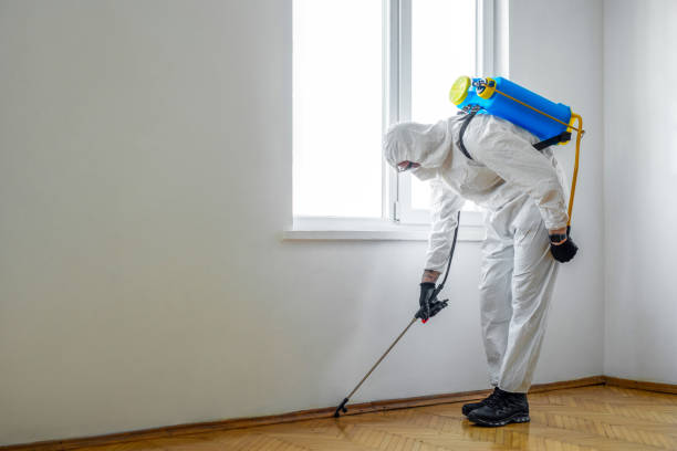 Best Wildlife Control Services  in Houston, MO