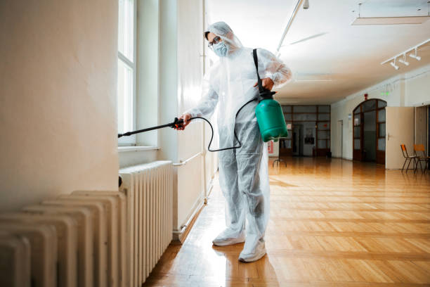 Best Pest Removal Services  in Houston, MO