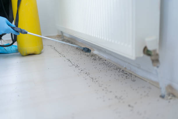 Best Wildlife Control Services  in Houston, MO