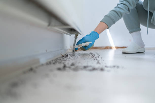 Best Pest Inspection Near Me  in Houston, MO