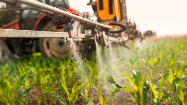 Professional Pest Control in Houston, MO